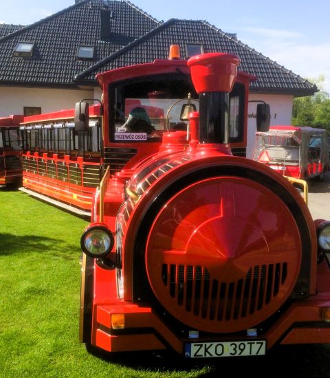 294468426_393235336125575_3283358493491615132_n