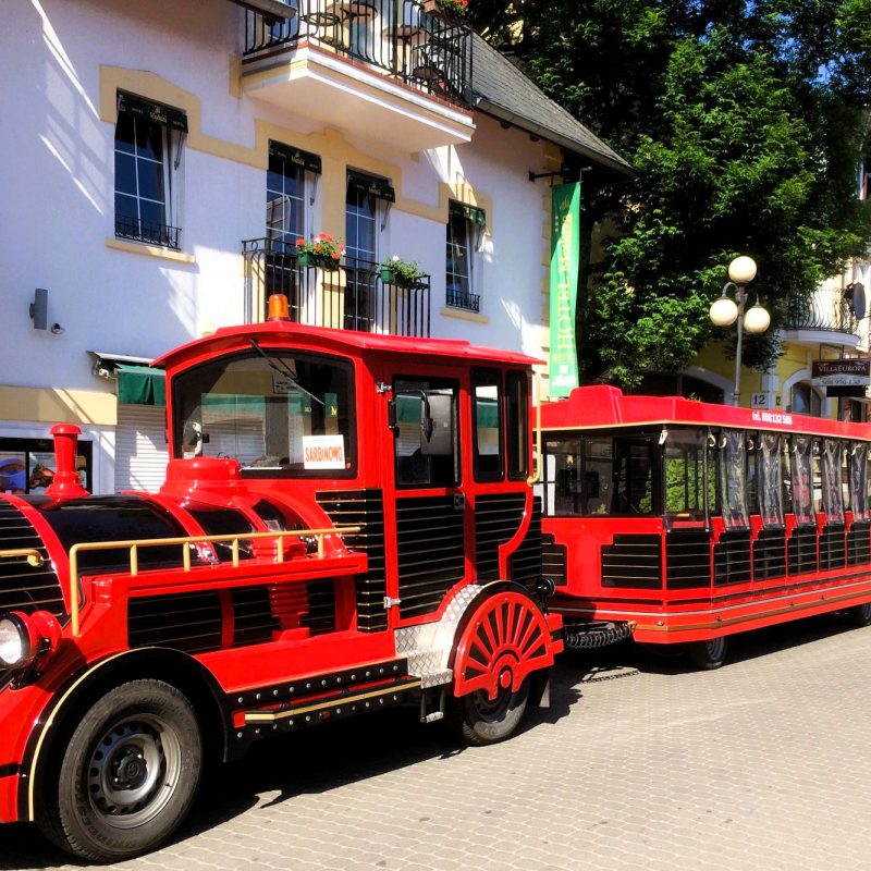 56883618_436319597141770_6605667071411879936_n