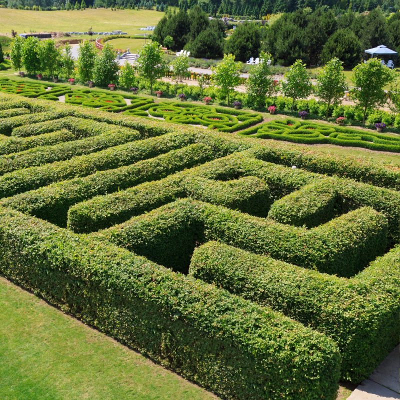 Projekt bez nazwy - 2025-05-16T104310.328