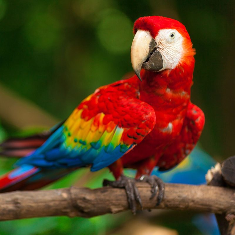 Projekt bez nazwy - 2025-05-16T105043.398