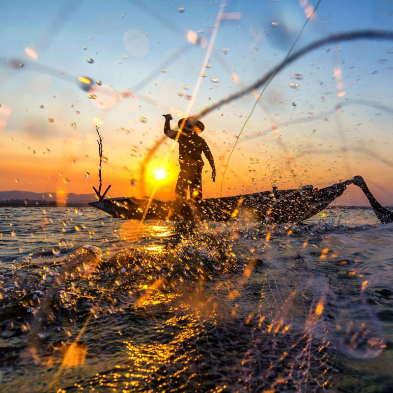 Projekt bez nazwy - 2025-05-16T105658.500